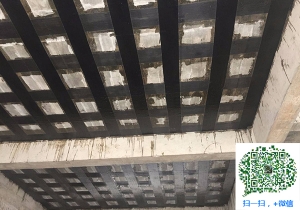 高明厂房碳纤维加固